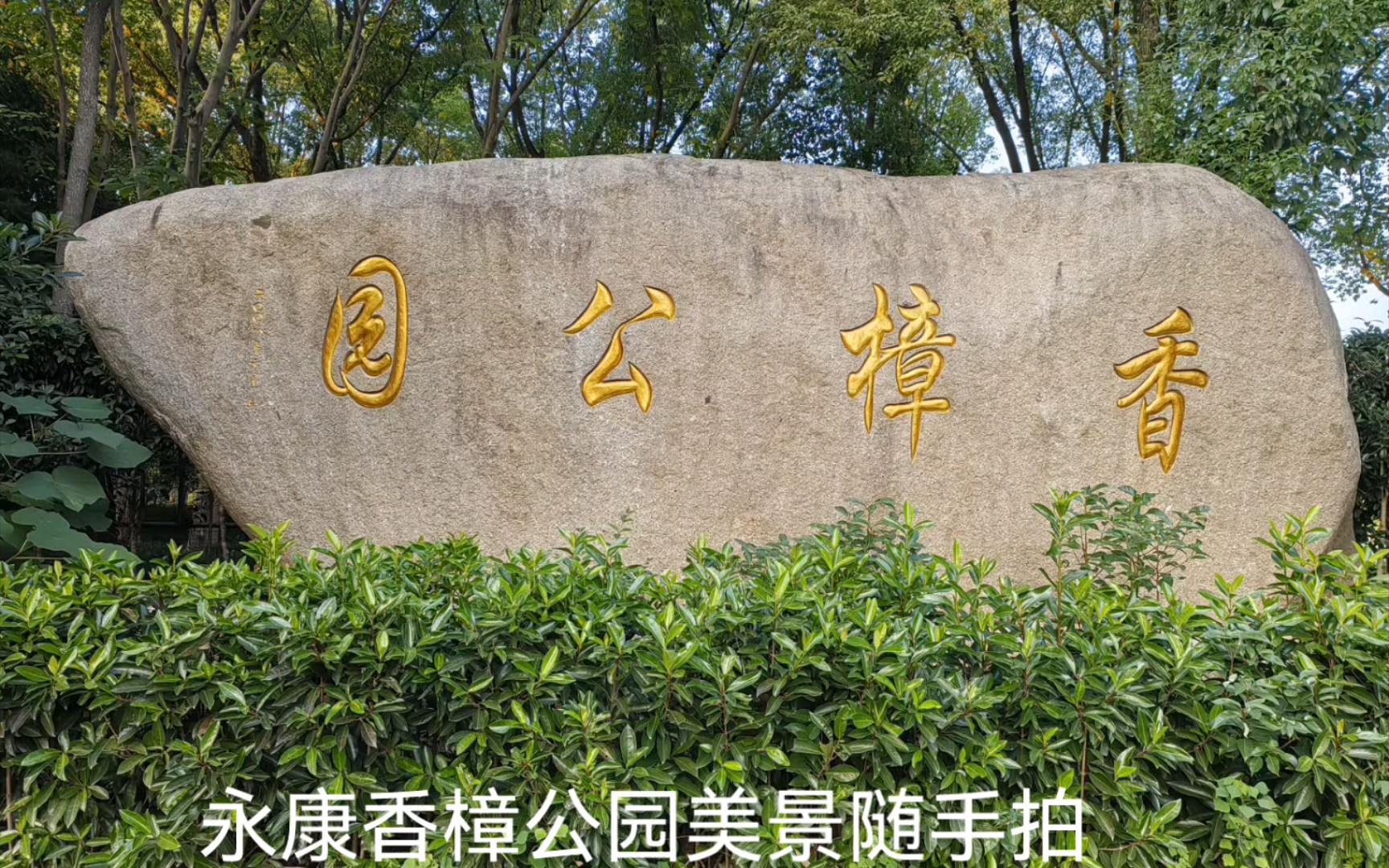 永康香樟公园美景随手拍