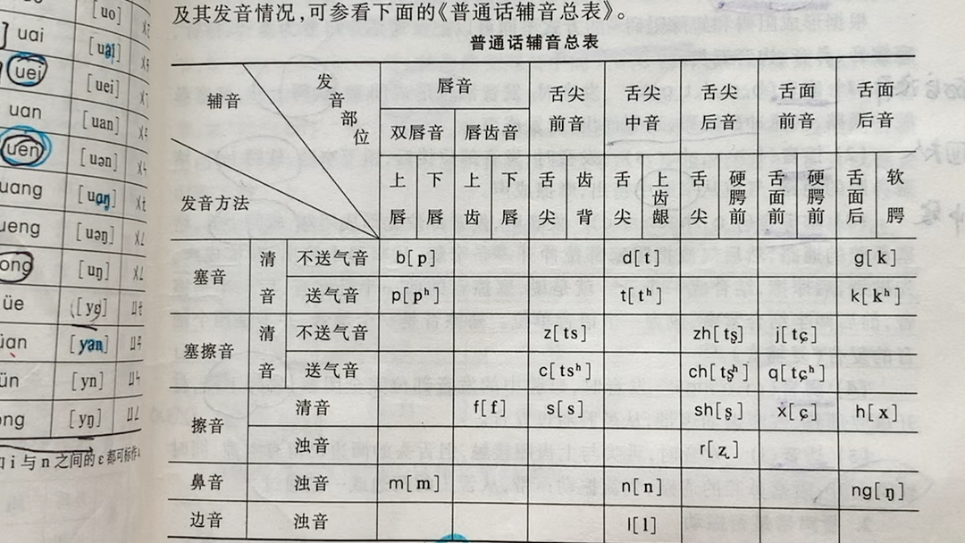 现代汉语第一章第二节 辅音与声母.哔哩哔哩bilibili