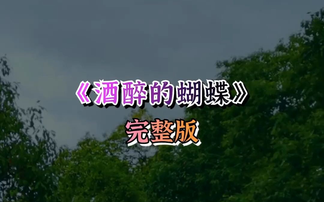 酒醉的蝴蝶 完整版哔哩哔哩bilibili