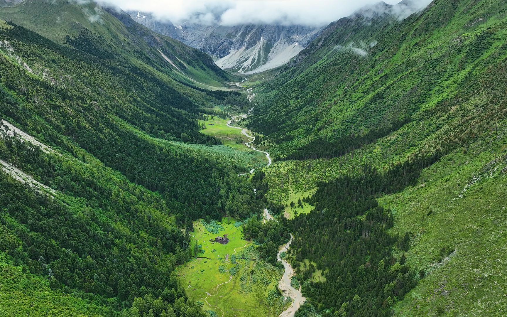 夏季白马雪山哔哩哔哩bilibili