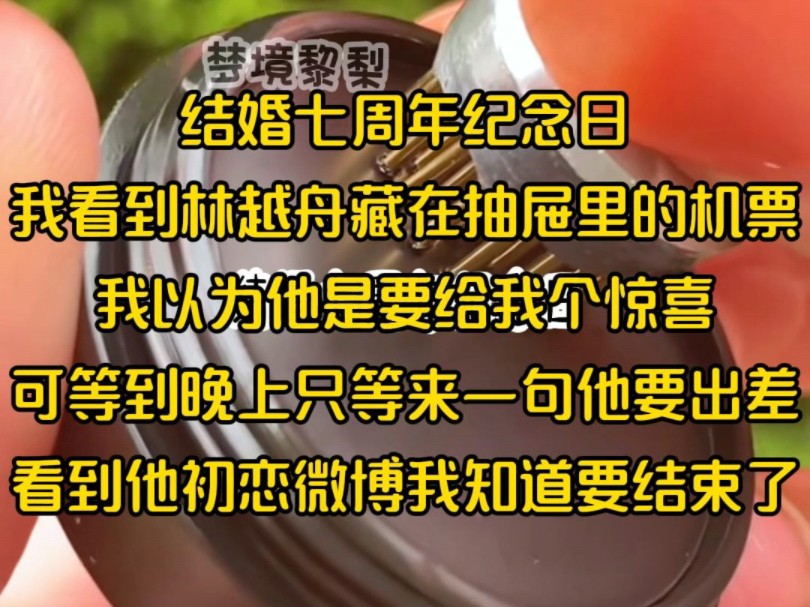 结婚七周年纪念日,我看到林越舟藏在抽屉里的机票,我以为他是要给我个惊喜,可等到晚上只等来一句他要出差,看到他初恋微博我知道要结束了哔哩哔...