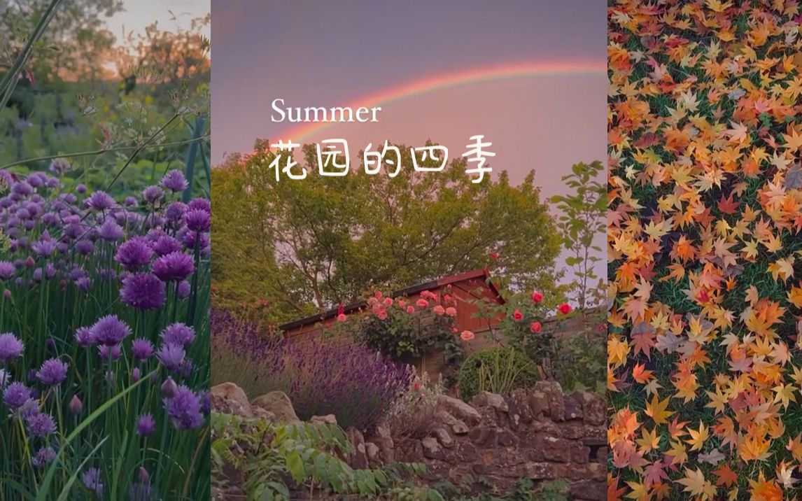 [图]我花园里的一年四季，属于我的治愈小星球🌷🌻🍁☃️