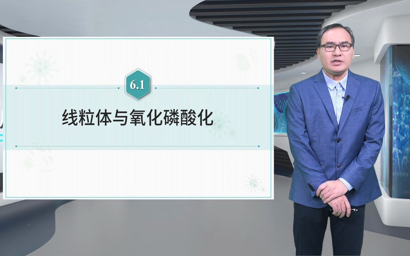 6.1线粒体与氧化磷酸化细胞生物学付爱根哔哩哔哩bilibili