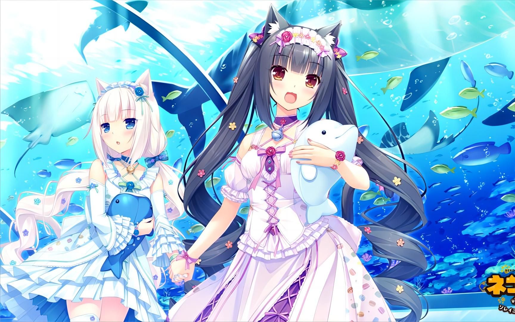 [图]【GALGAME游戏推荐】第八十九期：猫娘乐园1 Nekopara vol.1