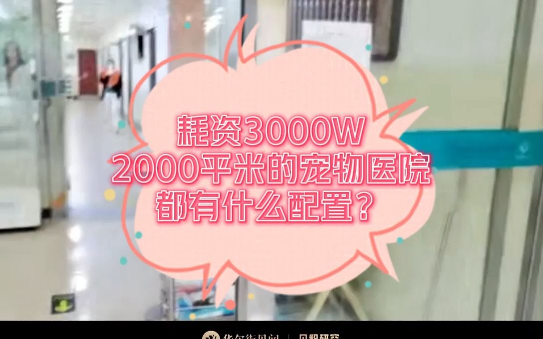 耗资3000W,2000平米的宠物医院长啥样?哔哩哔哩bilibili