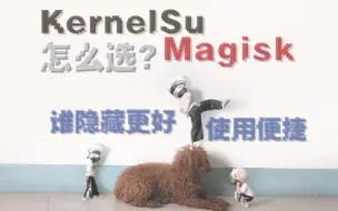 下载视频: Magisk跟KernelSu应该怎么选？哪个更好？谁隐藏性更高？