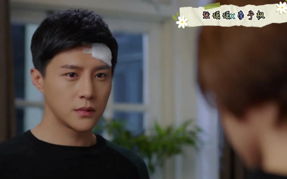 【为了你我愿意热爱整个世界|王宫良x张艺上】张瑶瑶与李宁枫李所长的