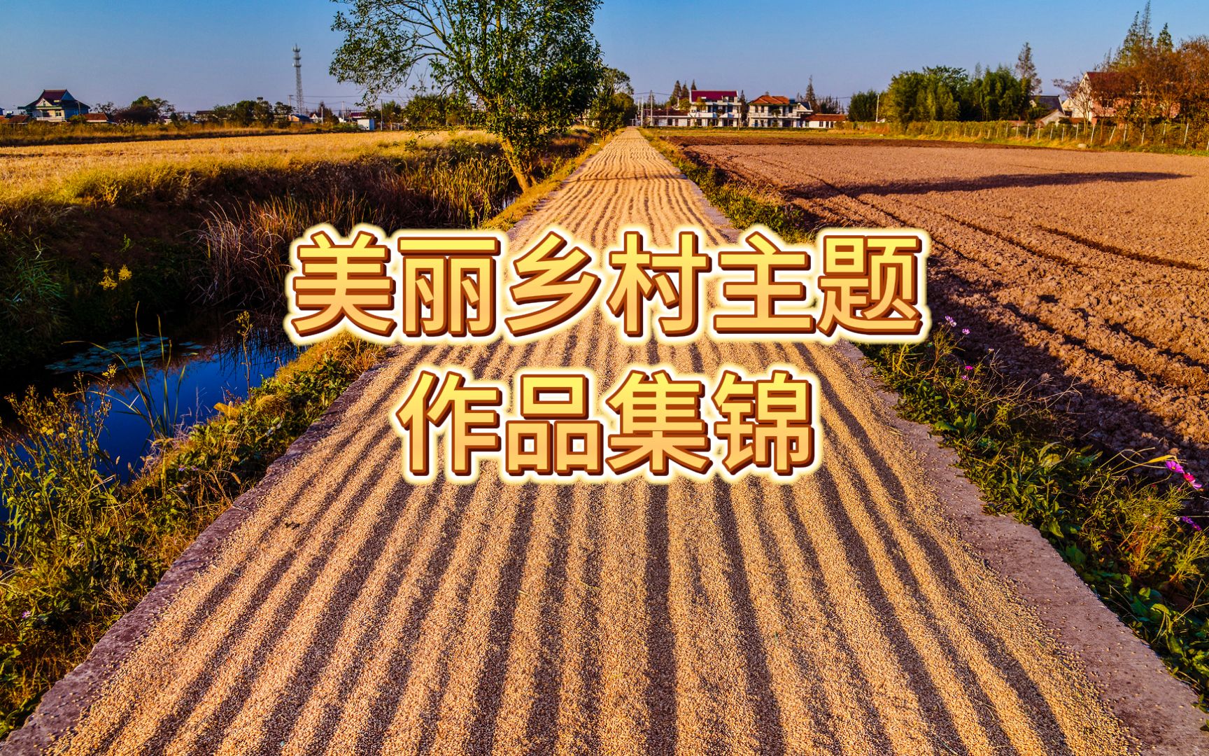 美丽乡村主题作品集锦