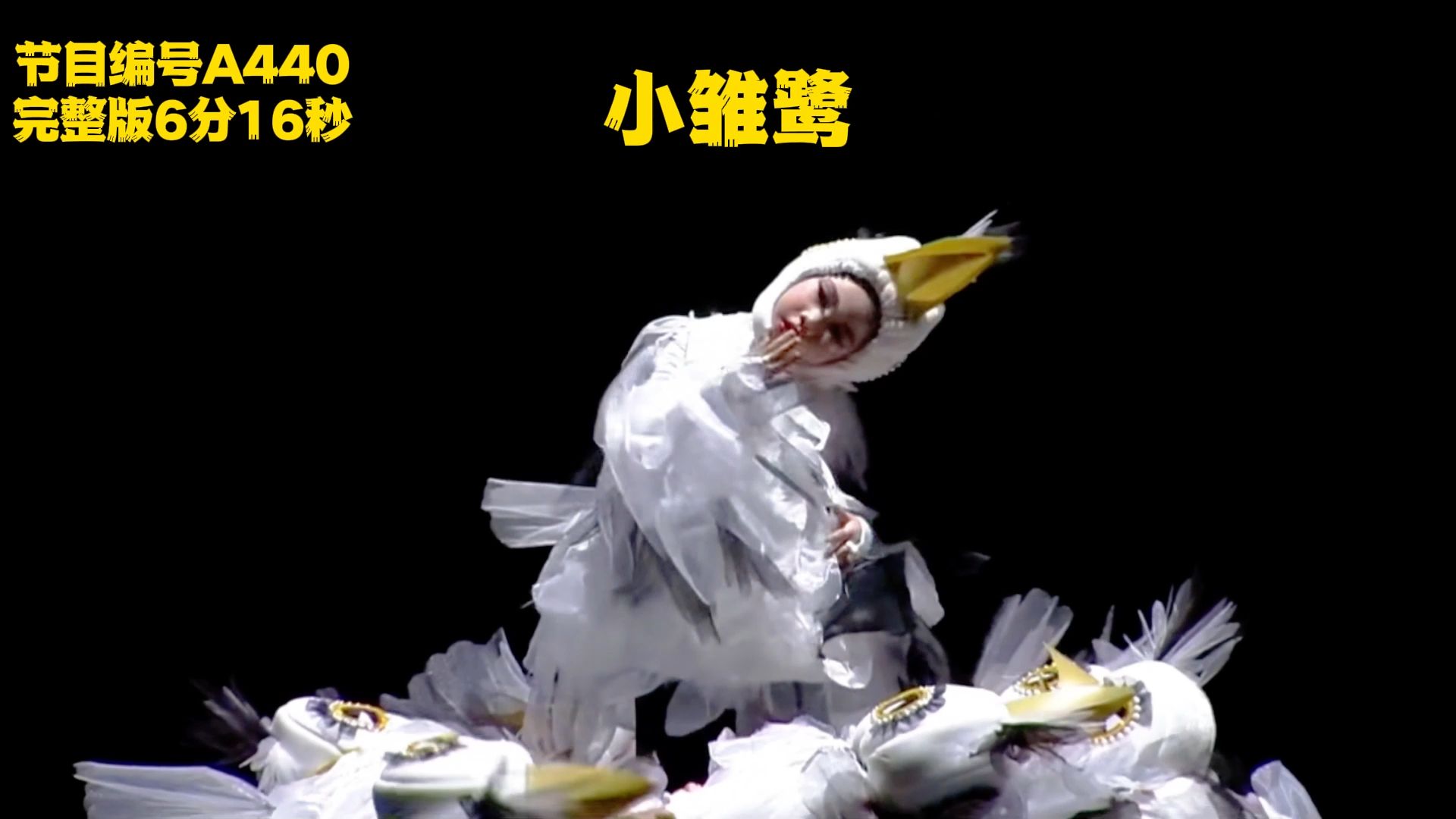 小鸟题材舞蹈~保护小鸟~少儿舞蹈~艺术节~六一环保题材舞蹈#舞蹈之乡