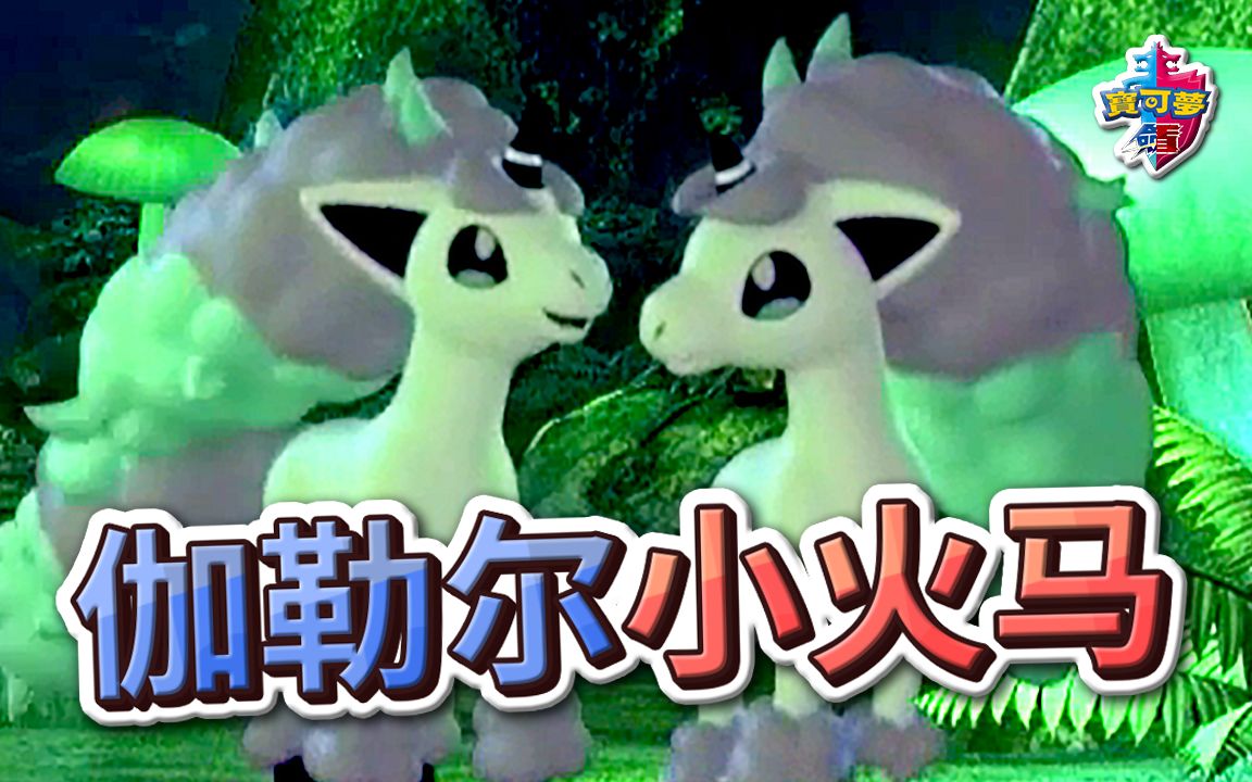 伽勒尔地区小火马妖精系的彩虹小马公开剑盾finntv