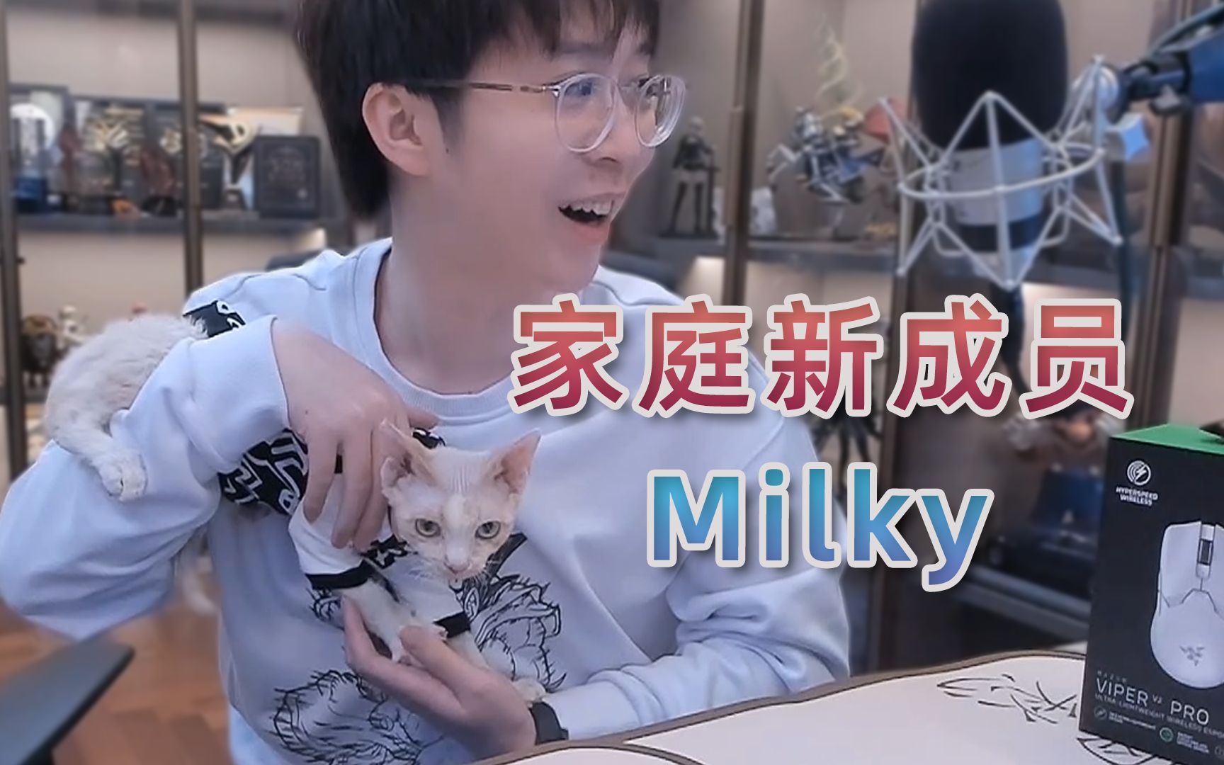 给大家介绍一下我家的新成员:德文卷毛Milky~哔哩哔哩bilibili