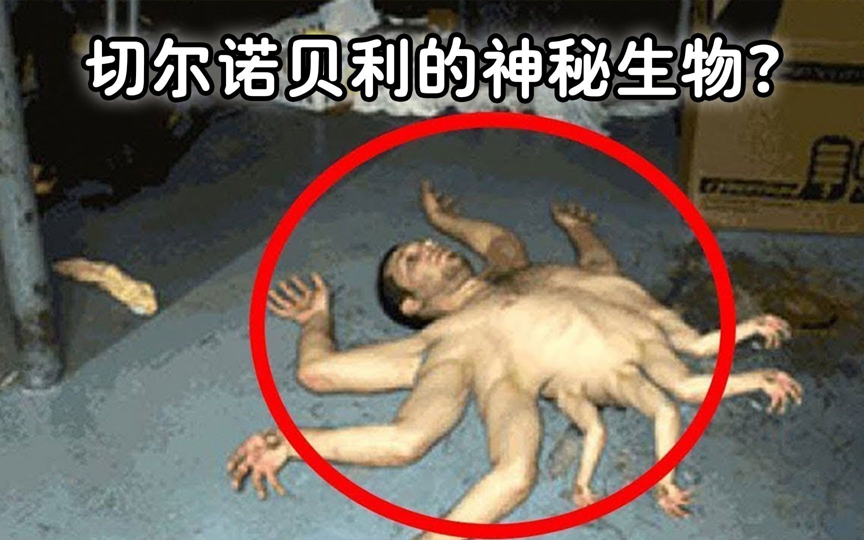 [图]切尔诺贝利真的有变异生物吗？看相机捕捉到了什么？