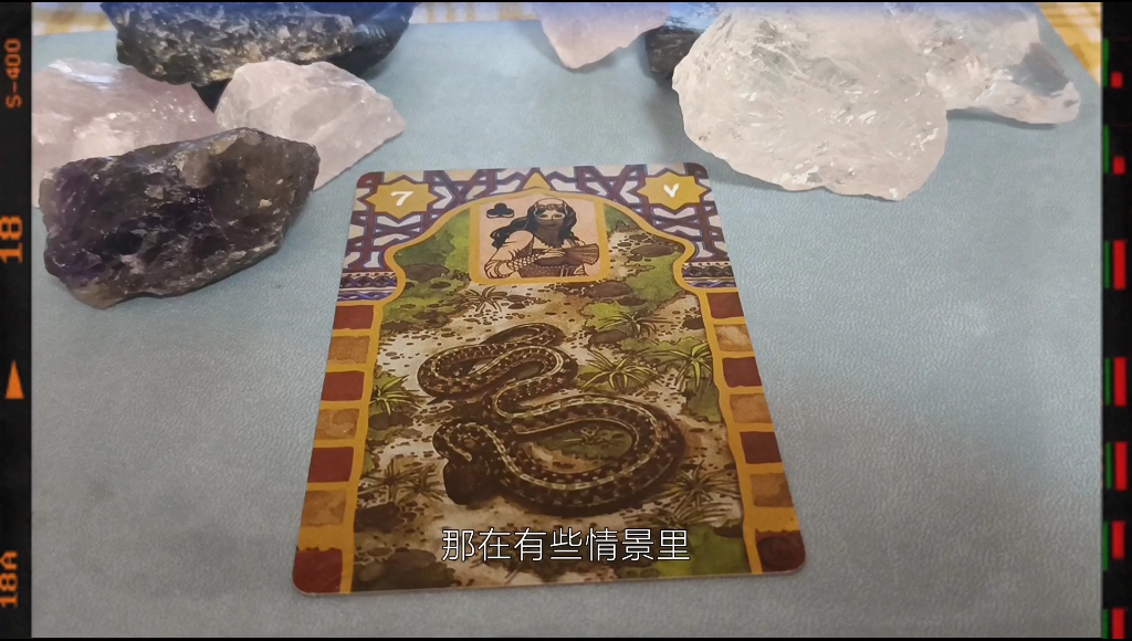 雷诺曼的第七张卡牌蛇