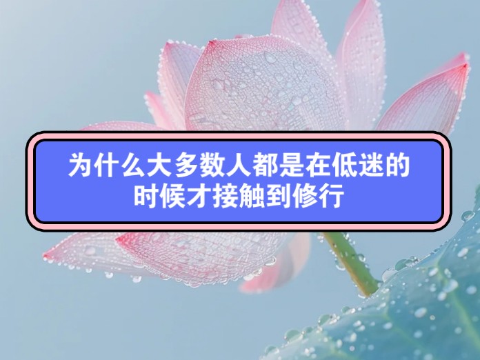 为什么大多数人都是在低迷的时候才接触到修行呢?哔哩哔哩bilibili