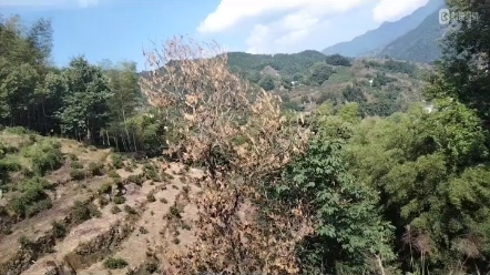 [图]邻家美眉风景（御姐）