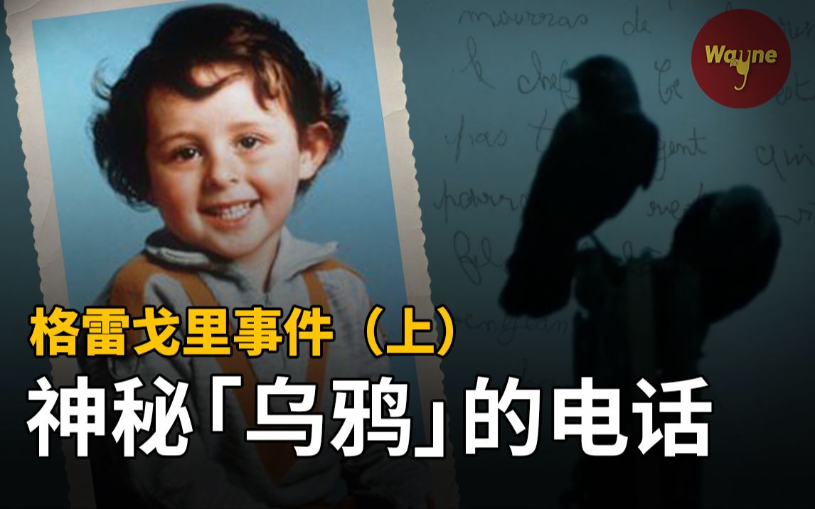 河内发现遇害男孩,家族全员成为嫌疑人,神秘电话搅得人心惶惶,到底是谁杀死了他?震惊全法的格雷戈里事件(上)| Wayne调查哔哩哔哩bilibili