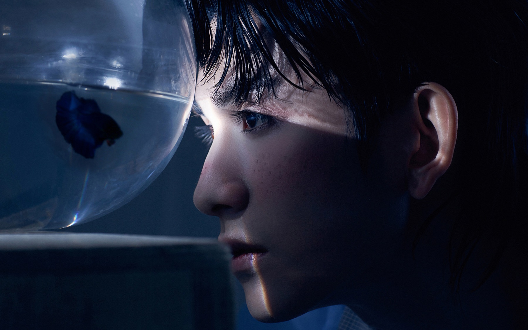 朱赞锦情人节礼物#上线预告