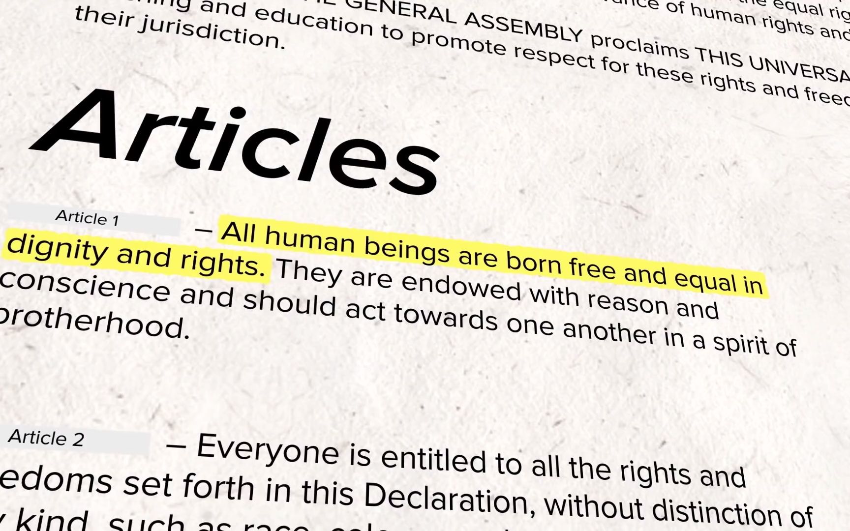 2022国际人权日|Universal Declaration of Human Rights哔哩哔哩bilibili