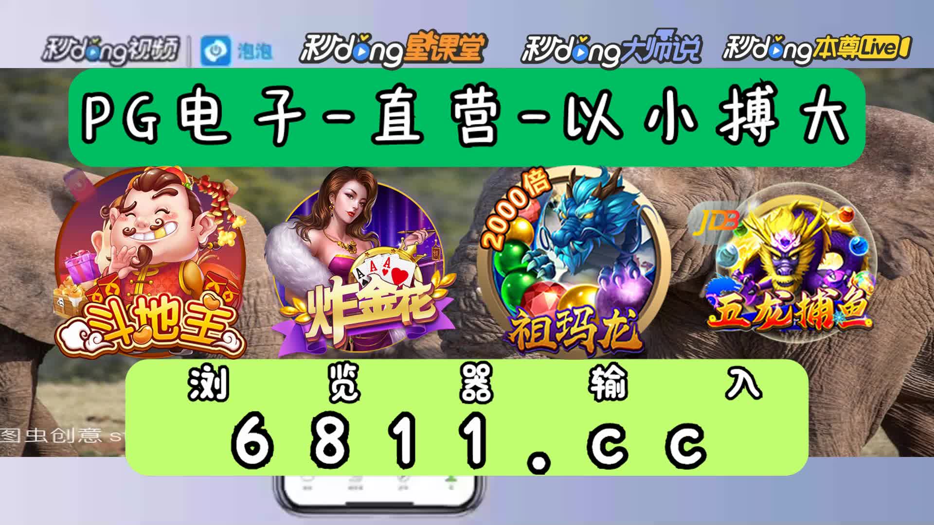 星力正版摇钱树