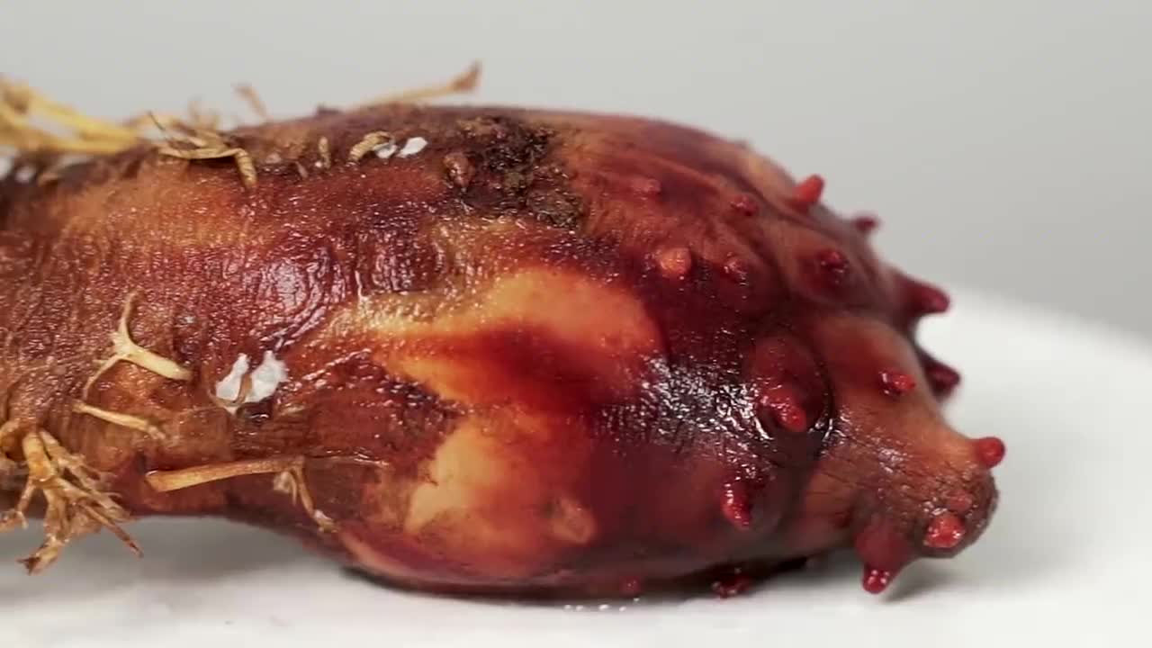 世界上最狠的生物"海鞘",会吃自己的大脑,做刺身非常好吃