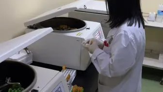 检验科的日常