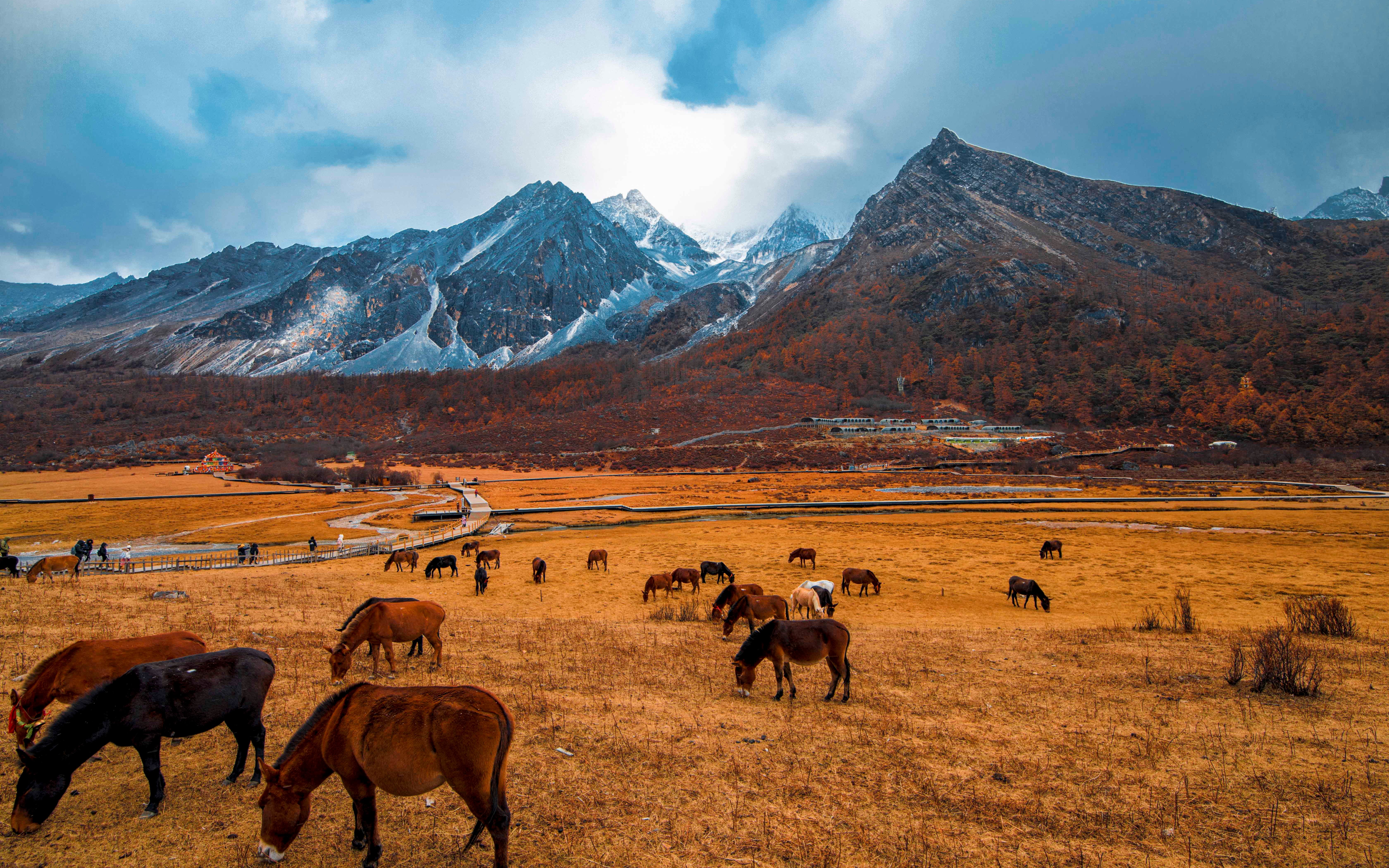 4k航拍 川藏线 稻城亚丁