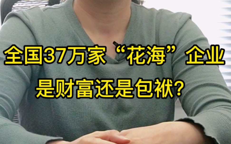 【颖想】全国37万家“花海”企业,是财富还是包袱?哔哩哔哩bilibili