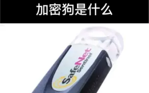 Download Video: 加密狗 是什么？和USB有什么区别？USB KEY，加密锁，加密USB，智能狗，狗锁这些都是形容加密狗的词语。