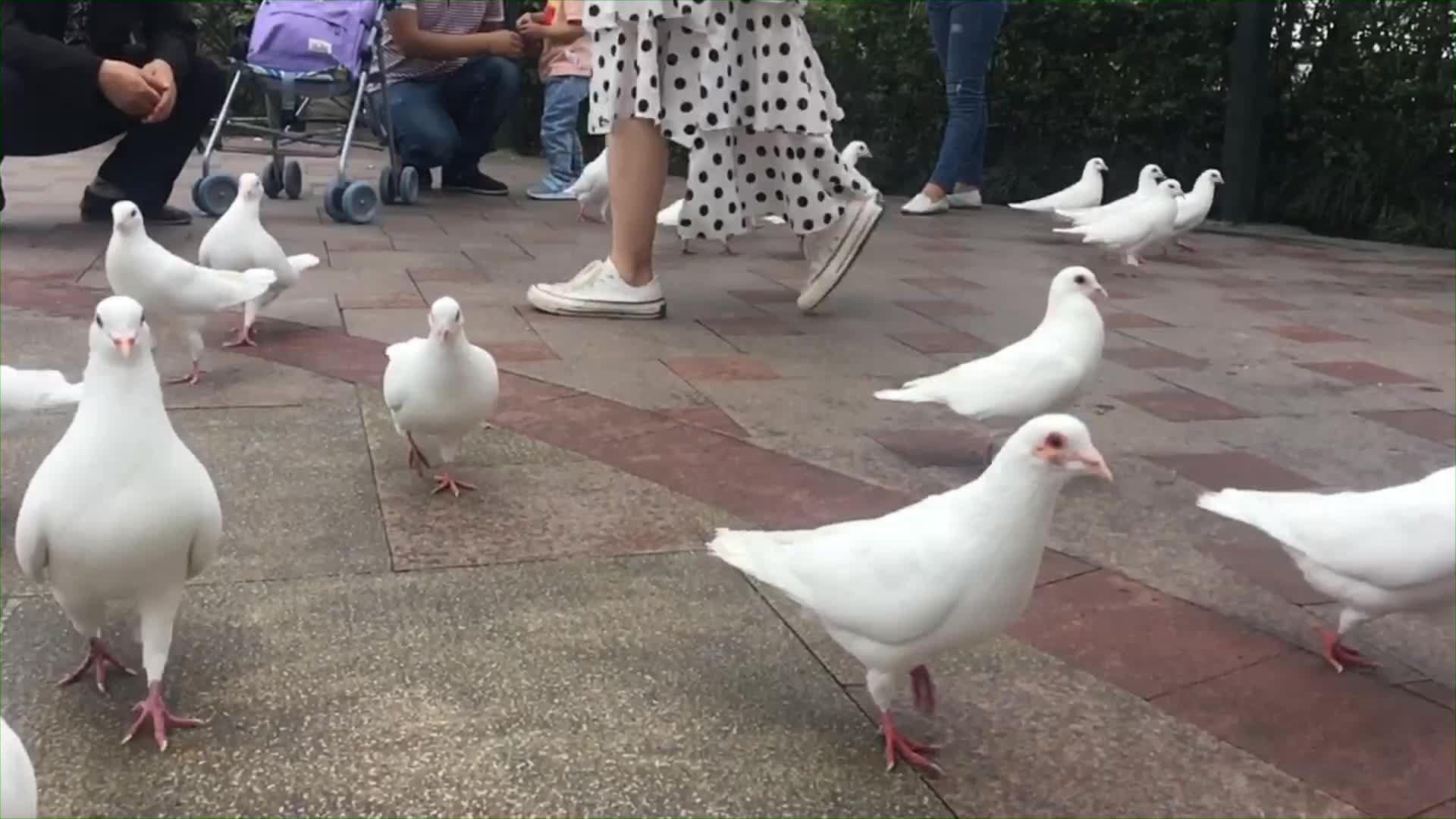 [图]“ 我有个朋友他叫刘十三 ”