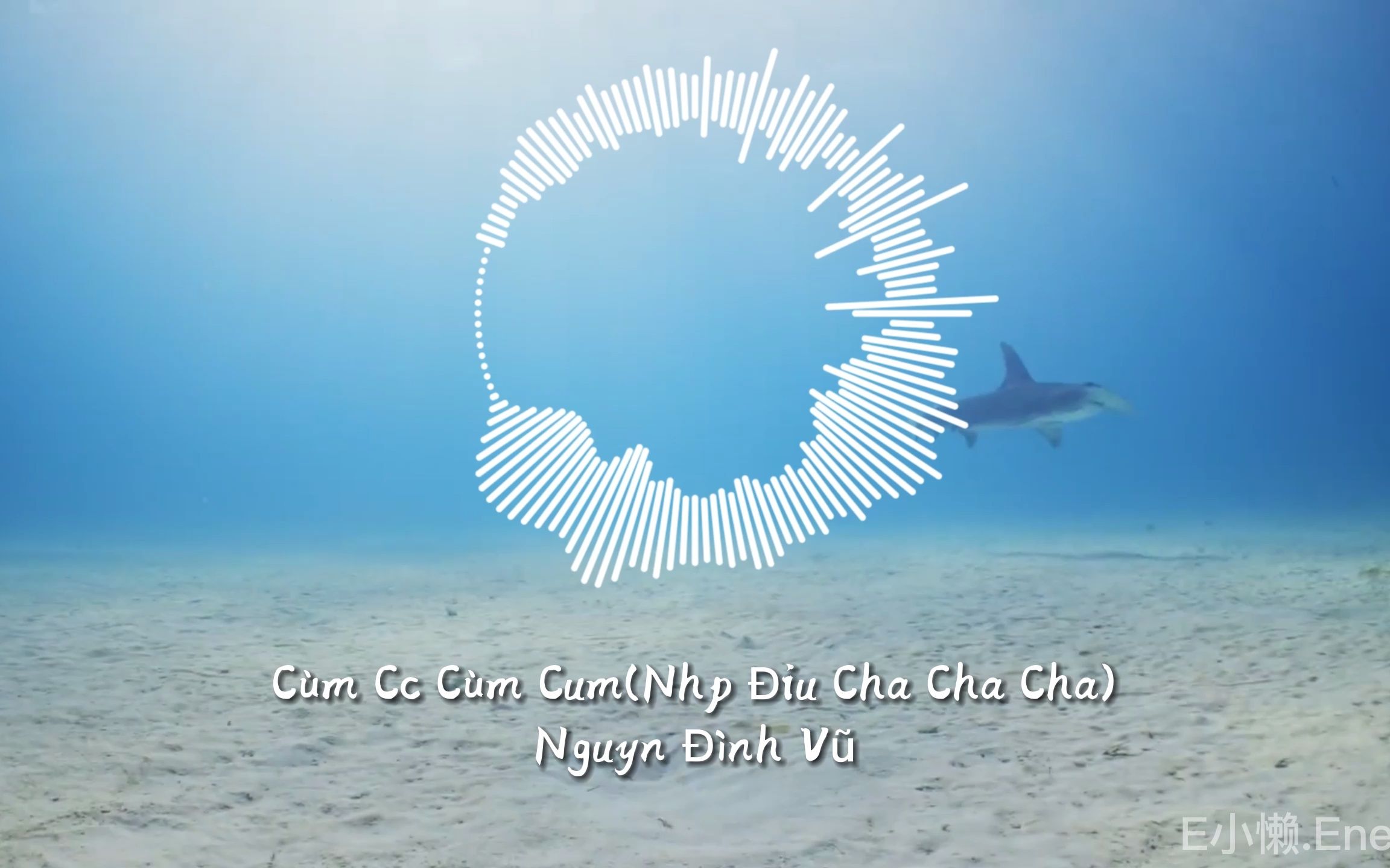 [图]【音乐分享】Cùm Cắc Cùm Cum(Nhịp Điệu Cha Cha Cha) - Nguyễn Đì