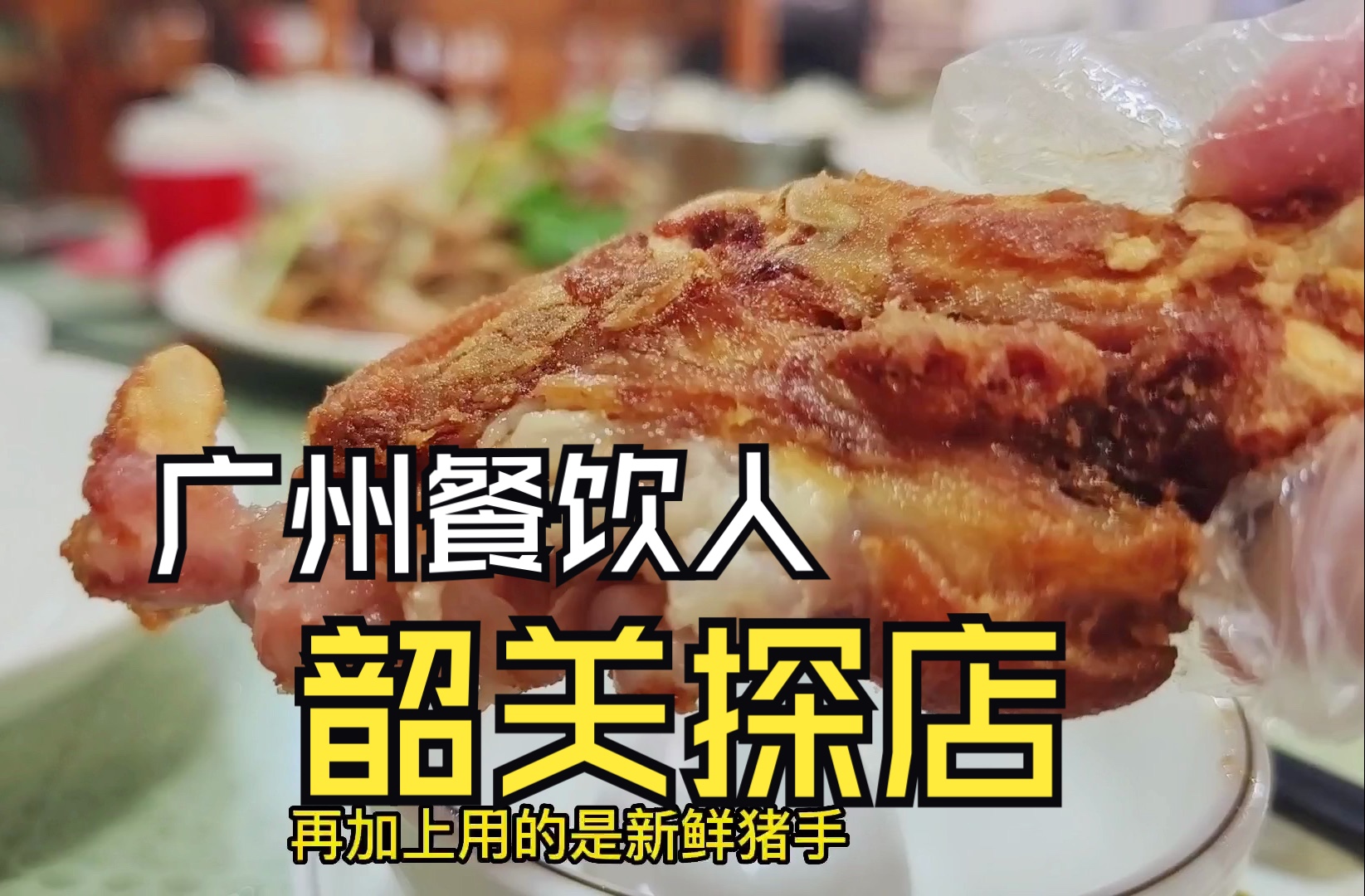 广州餐饮人 韶关探店哔哩哔哩bilibili