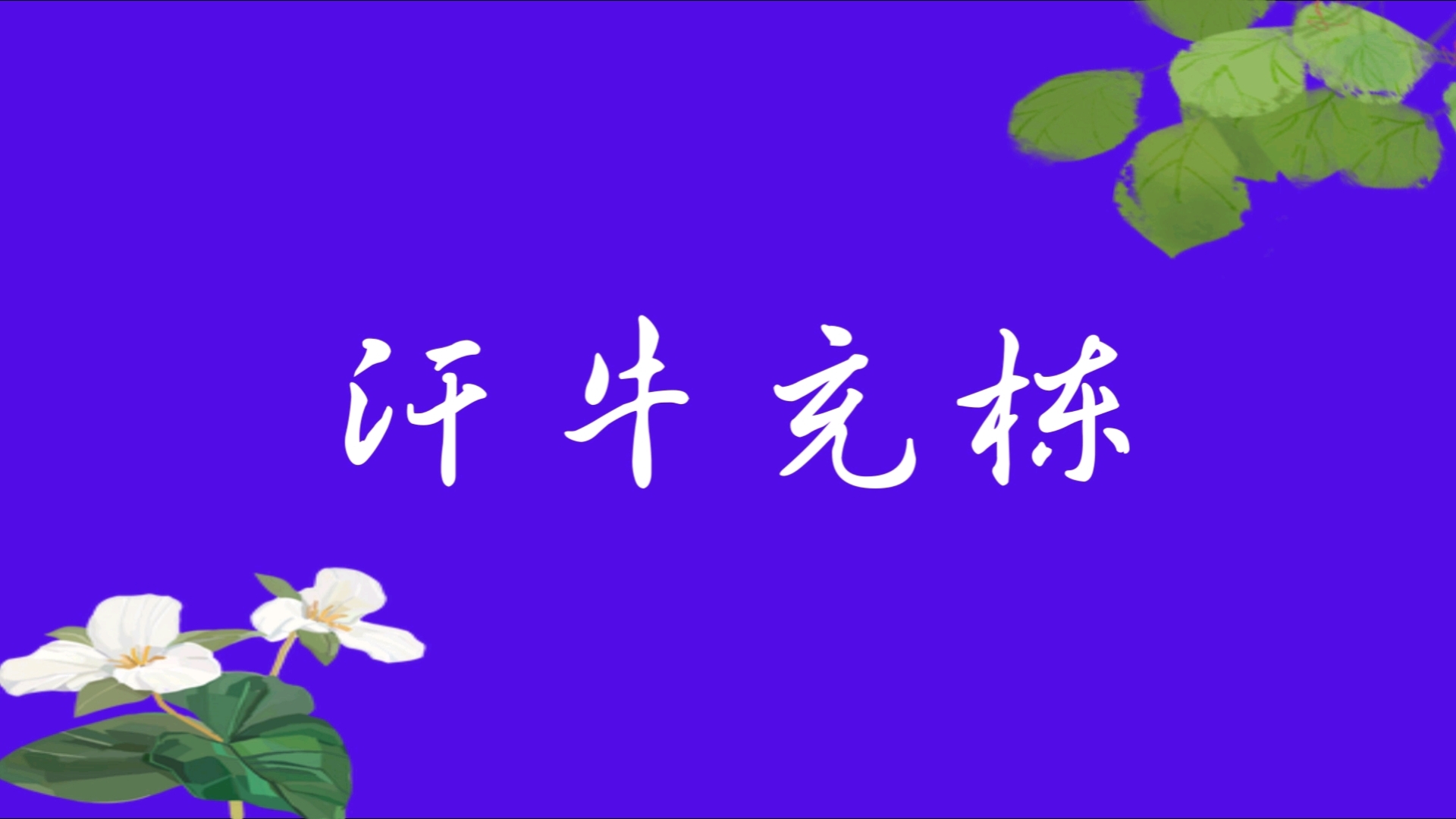 汗牛充栋 | 每天积累一个成语哔哩哔哩bilibili