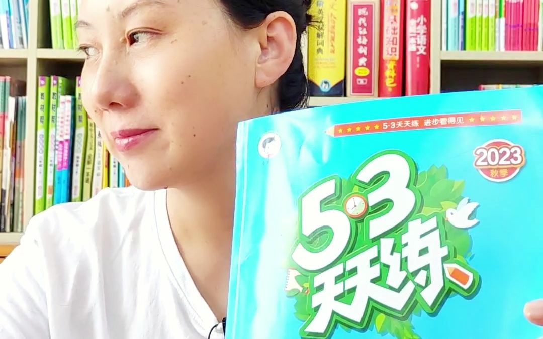 国民教辅53天天练 小学语文教辅测评哔哩哔哩bilibili