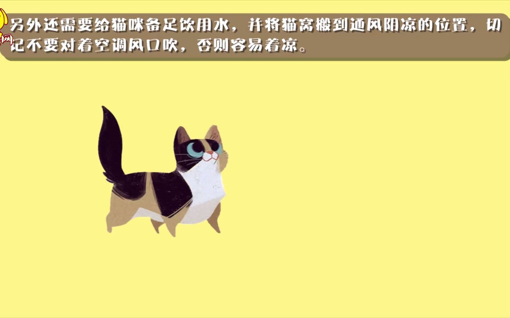 夏天猫怕不怕热哔哩哔哩bilibili