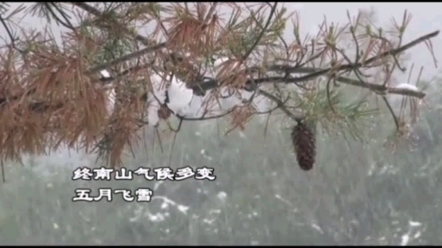 张至顺道长带众弟子,南山之行,五月飞雪.哔哩哔哩bilibili