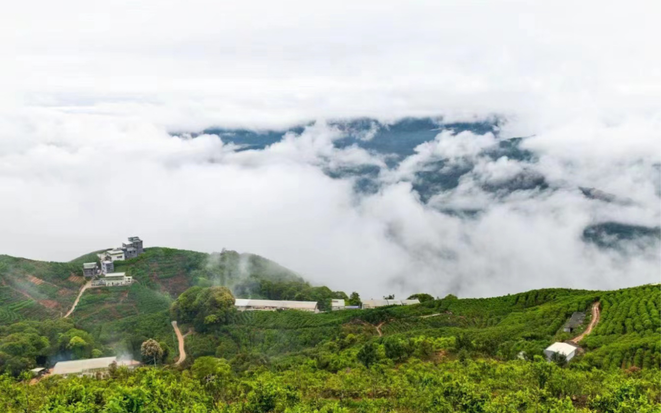 潮州凤凰山景点介绍图片