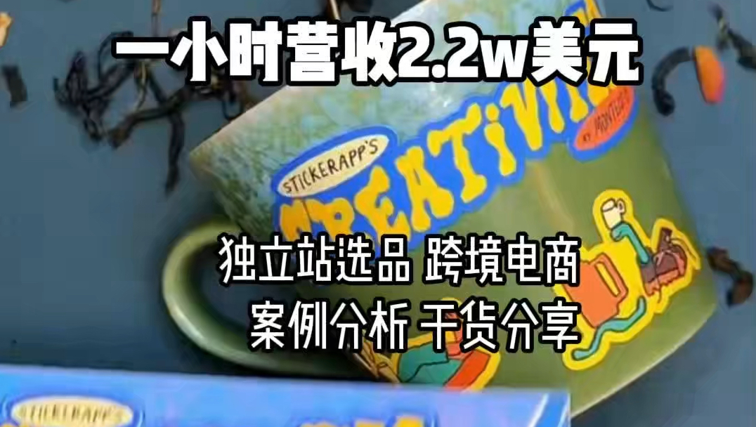 给他一个贴纸独立站 他能每小时挣2.2w哔哩哔哩bilibili