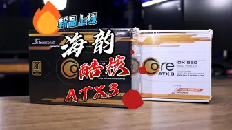 Download Video: 【电源】新品上线：海韵 酷核 ATX3 （Seasonic CORE ATX3）电源开箱