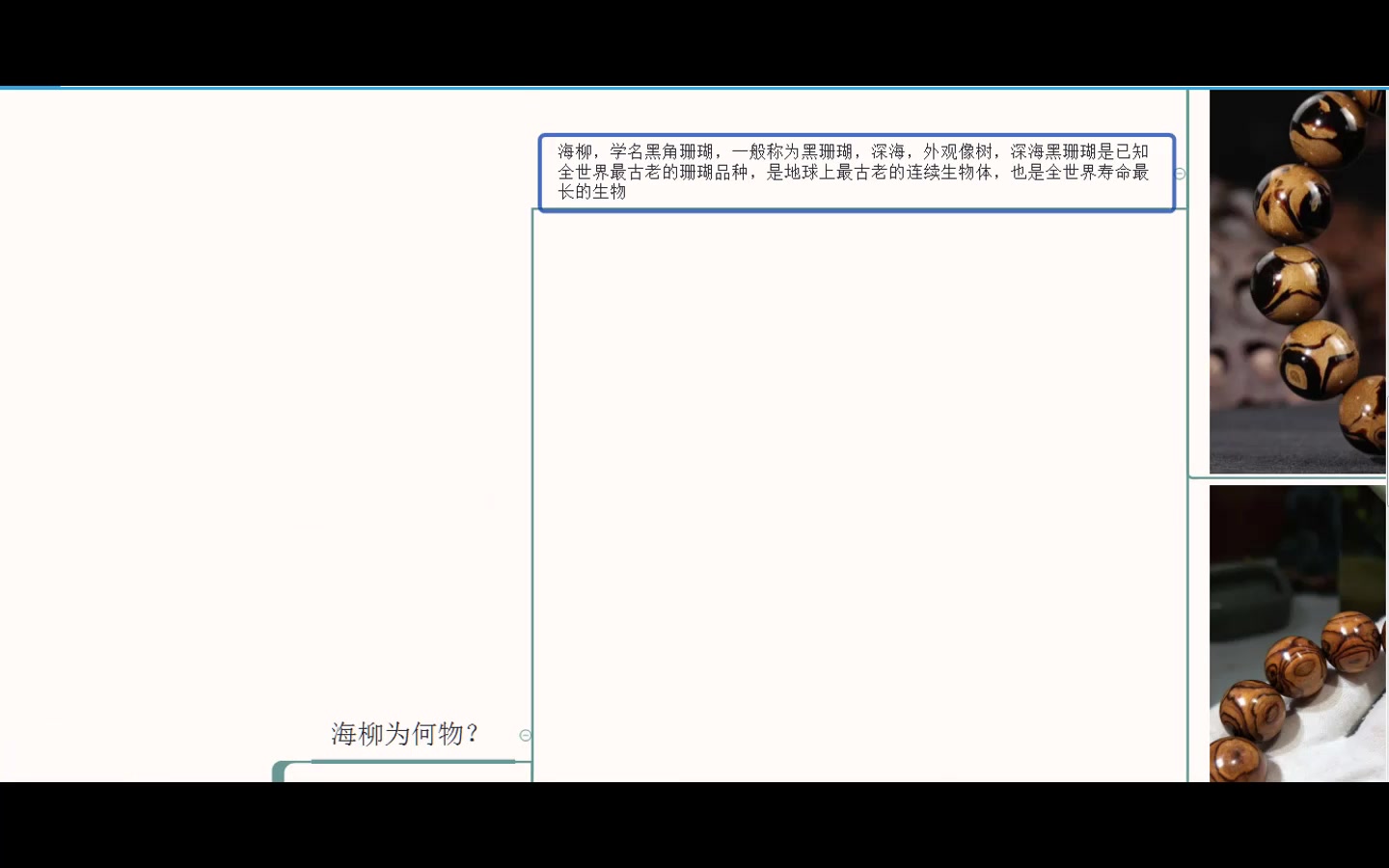 海柳黑珊瑚(上集)哔哩哔哩bilibili