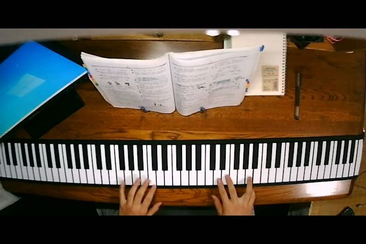 看看就行了千万不要拿手卷钢琴弹flower dance