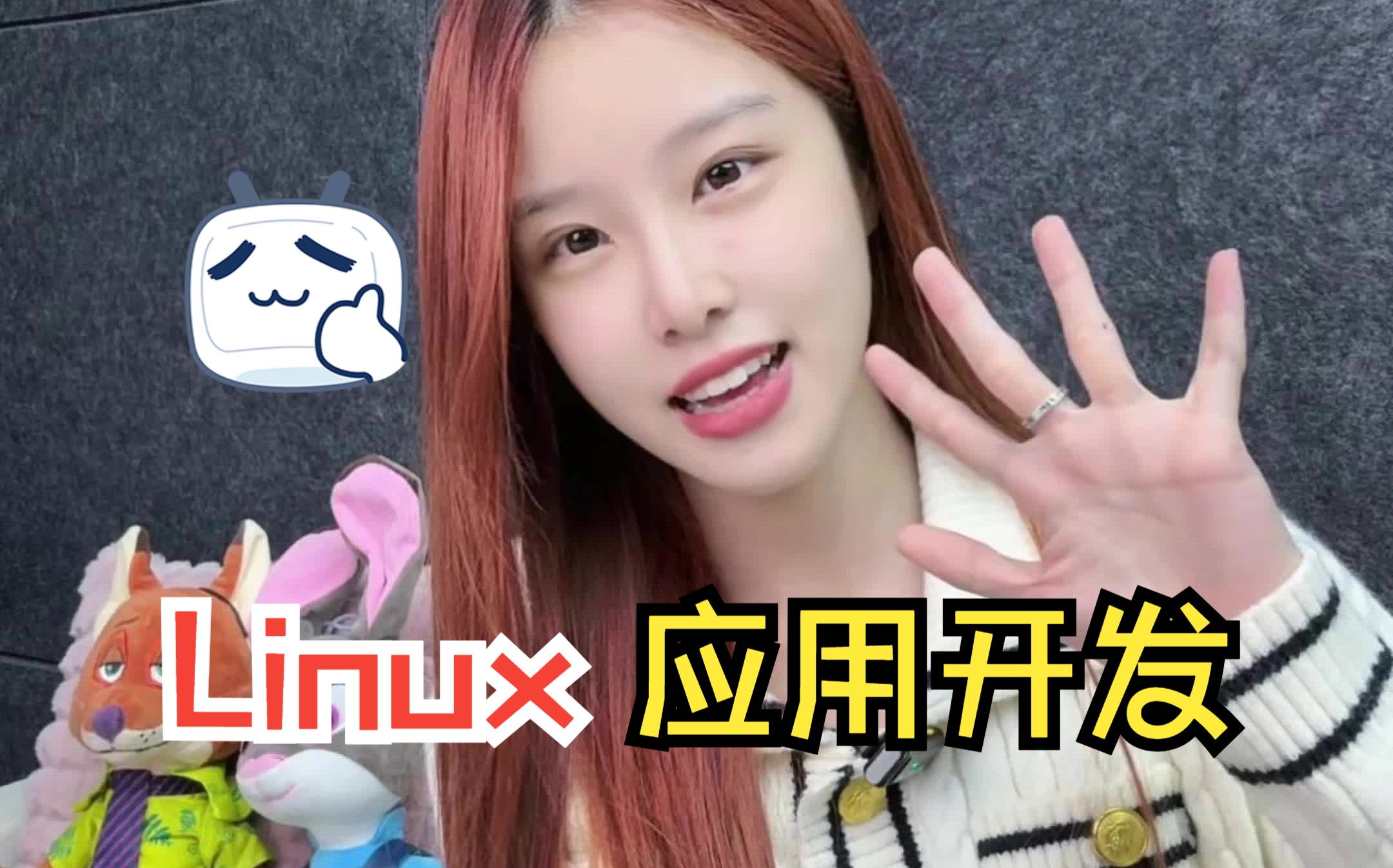 【学姐小课堂】嵌入式Linux 应用开发学点啥?哔哩哔哩bilibili