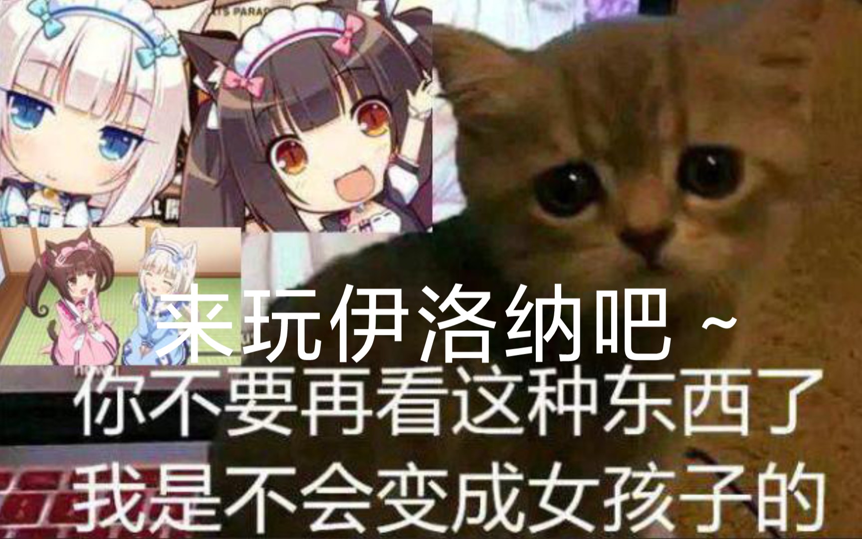 活动作品伊洛纳关于小妹妹的科普视频