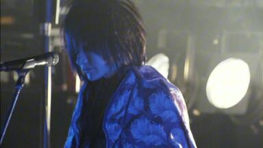 Plastic Tree】 World Tour 「Merry Go Around The World VOL.2」_哔哩