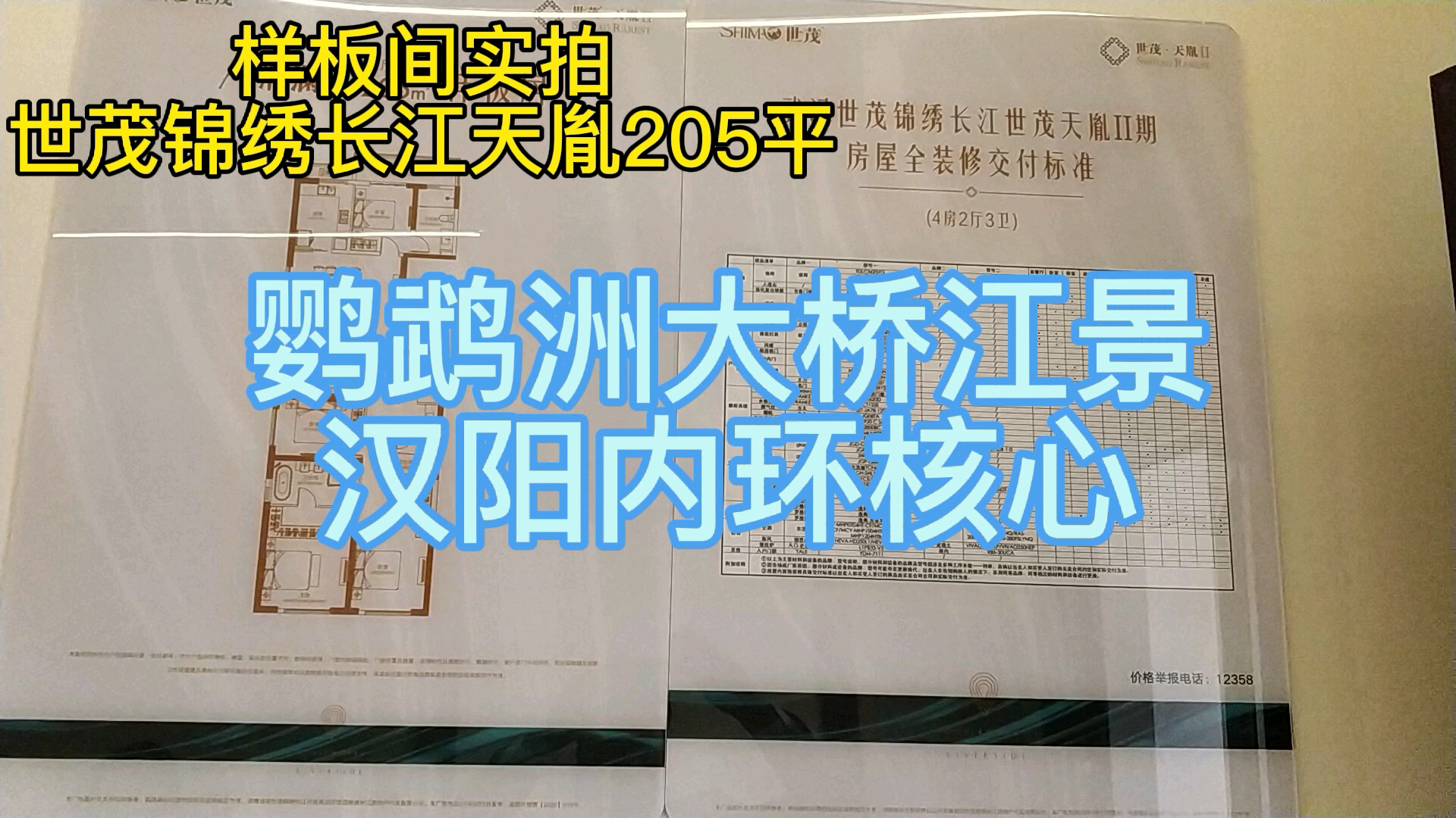 带你看房武汉新房100套之第138套,世茂锦绣长江天胤205平哔哩哔哩bilibili