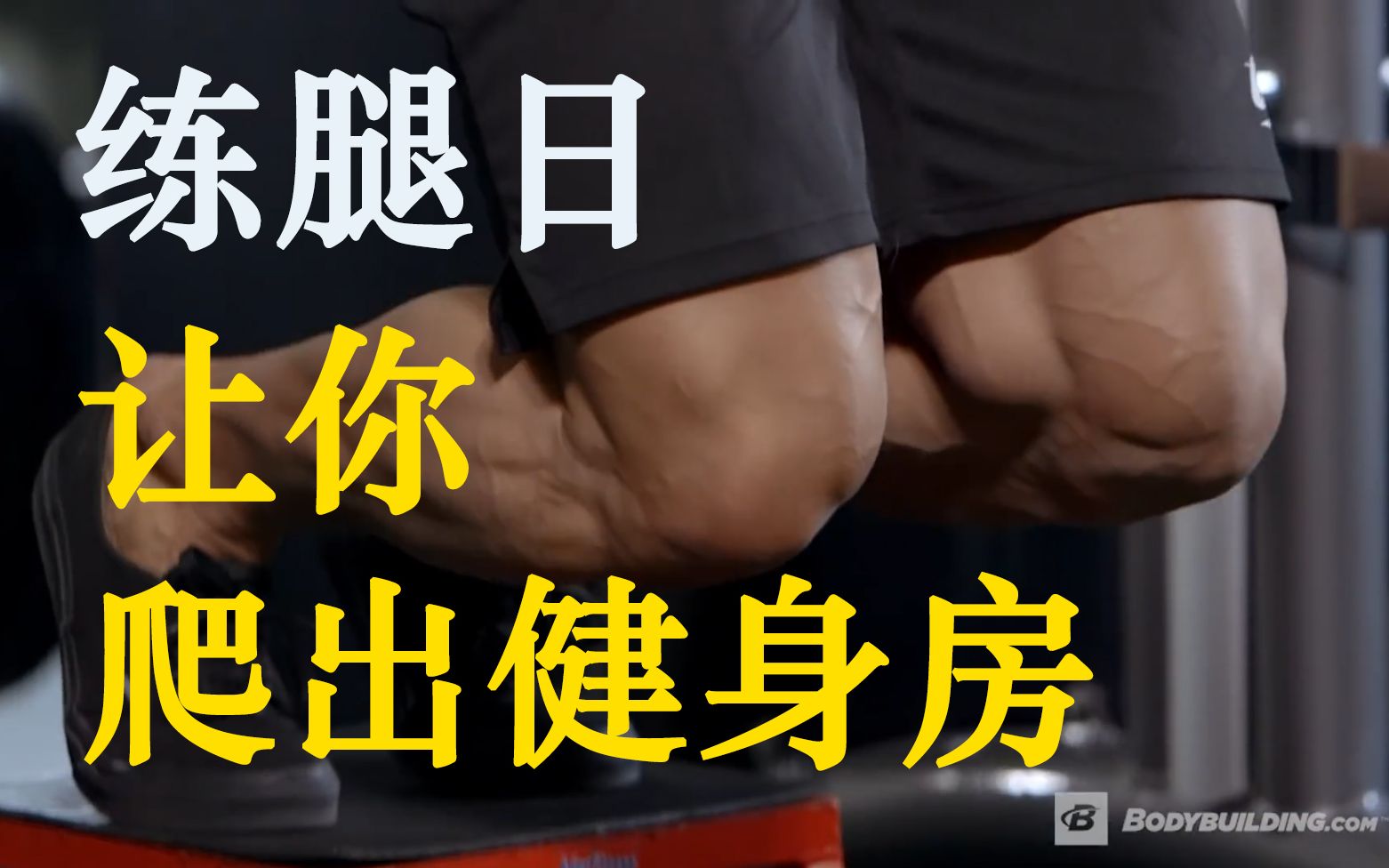 练腿的八个动作黄金动作想休息教你爬出健身房