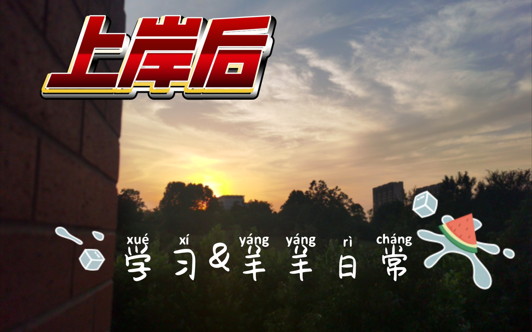 专升本成功上岸|毕业季,忙碌的一个月|成功永远是在努力之后,而努力