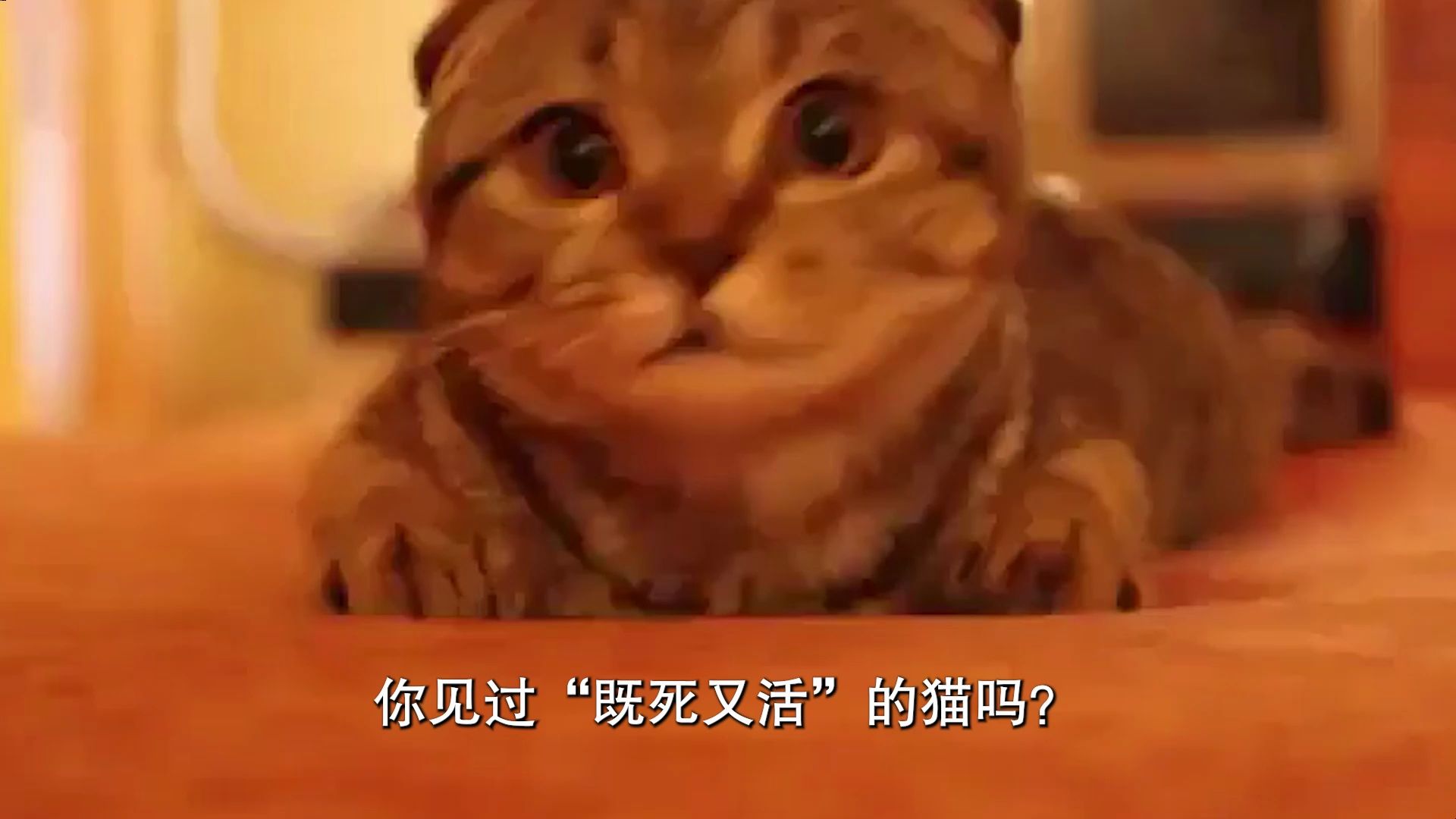 拍下"薛定谔的猫"!科学家首次捕捉单个原子波包