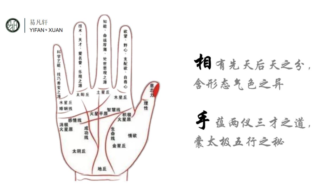 [图]手相-三才纹