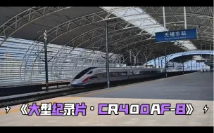 Download Video: CR400AF-B 达速通过 京局复兴号红神龙