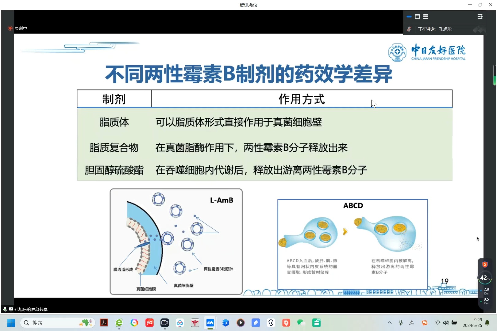 两性霉素b雾化图片